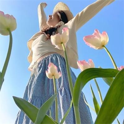 最后判决